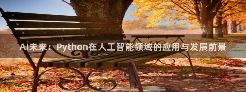 AI未来：Python在人工智能领域的应用与发展前景