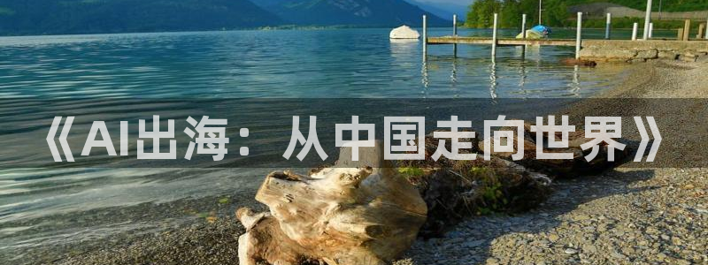 《AI出海：从中国走向世界》