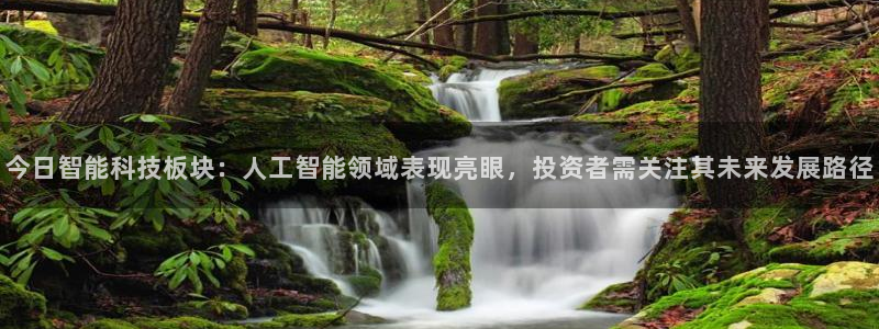 今日智能科技板块：人工智能领域表现亮眼，投资者需关注其未来发展路径