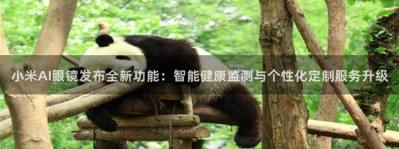 小米AI眼镜发布全新功能：智能健康监测与个性化定制服务升级