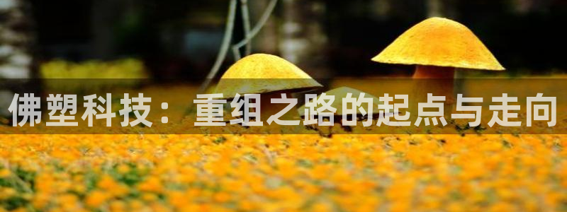 佛塑科技：重组之路的起点与走向