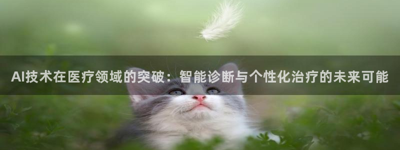 AI技术在医疗领域的突破：智能诊断与个性化治疗的未来可能