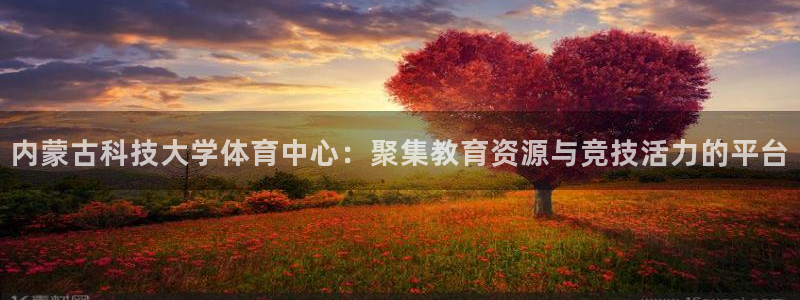 内蒙古科技大学体育中心：聚集教育资源与竞技活力的平台
