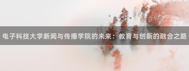 电子科技大学新闻与传播学院的未来：教育与创新的融合之路
