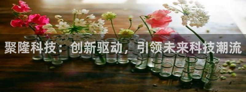聚隆科技：创新驱动，引领未来科技潮流