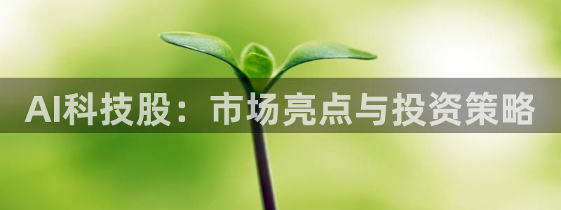 AI科技股：市场亮点与投资策略