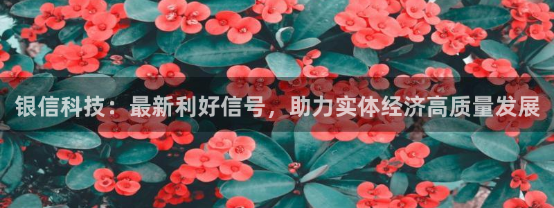 银信科技：最新利好信号，助力实体经济高质量发展