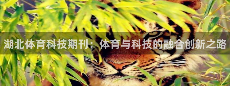 湖北体育科技期刊：体育与科技的融合创新之路