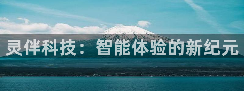灵伴科技：智能体验的新纪元