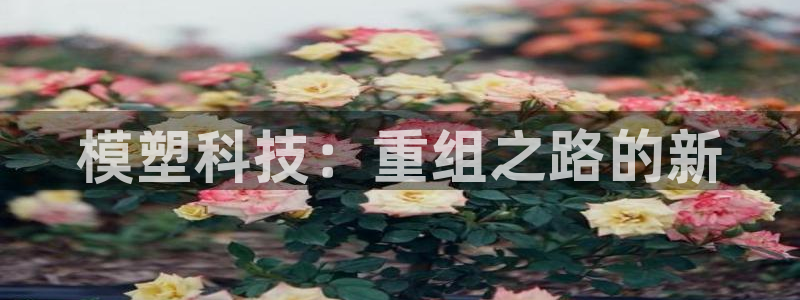 模塑科技：重组之路的新
