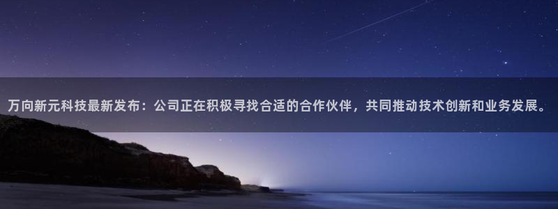 万向新元科技最新发布：公司正在积极寻找合适的合作伙伴，共同推动技术创新和业务发展。
