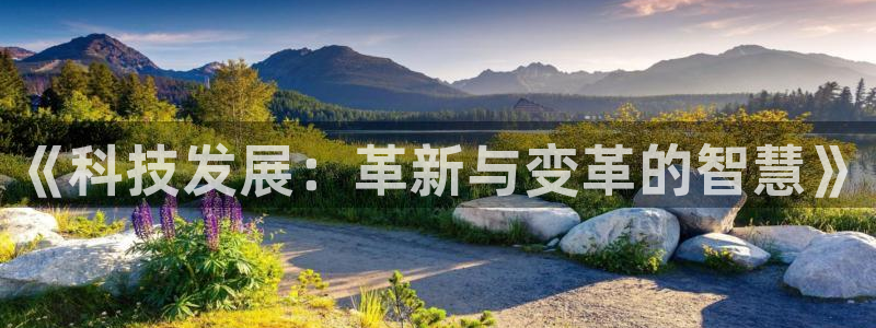 《科技发展：革新与变革的智慧》