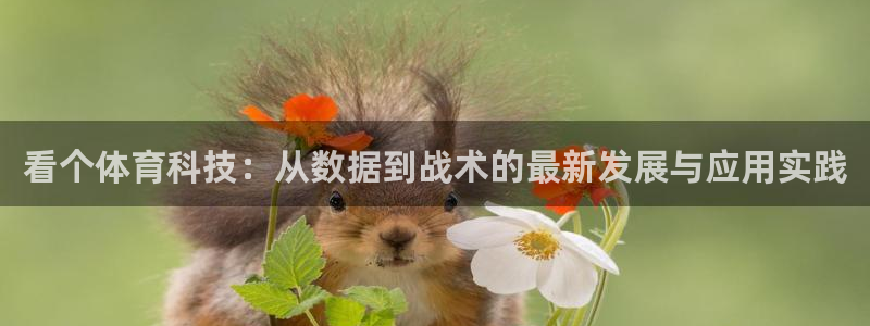 看个体育科技：从数据到战术的最新发展与应用实践