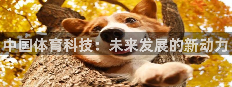 中国体育科技：未来发展的新动力