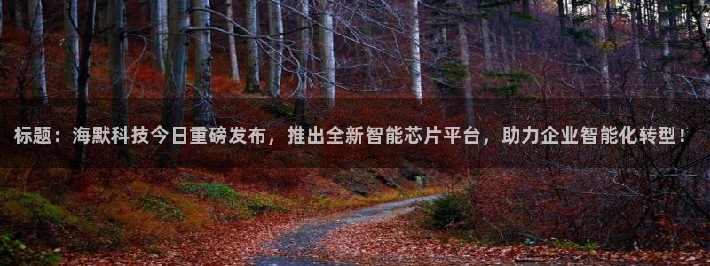 标题：海默科技今日重磅发布，推出全新智能芯片平台，助力企业智能化转型！