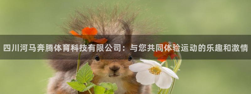 四川河马奔腾体育科技有限公司：与您共同体验运动的乐趣和激情