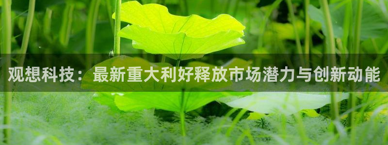 观想科技：最新重大利好释放市场潜力与创新动能