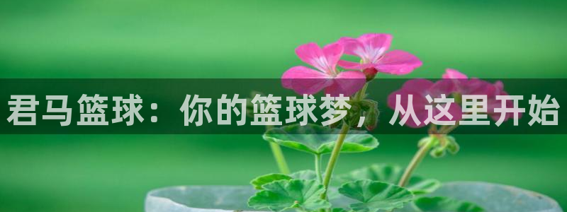 君马篮球：你的篮球梦，从这里开始