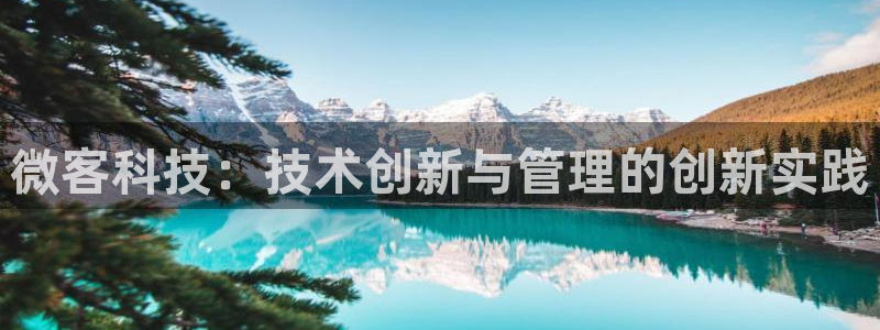 微客科技：技术创新与管理的创新实践