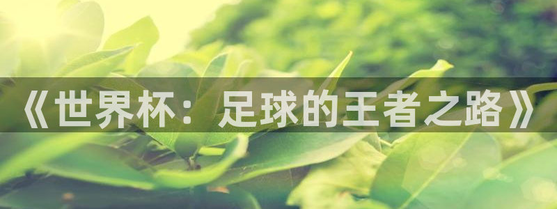 《世界杯：足球的王者之路》