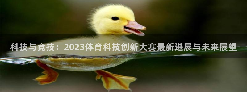 科技与竞技：2023体育科技创新大赛最新进展与未来展望