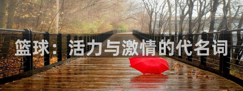 篮球：活力与激情的代名词