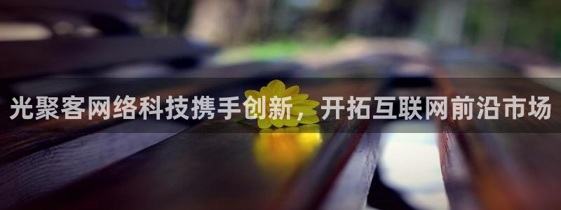 光聚客网络科技携手创新，开拓互联网前沿市场