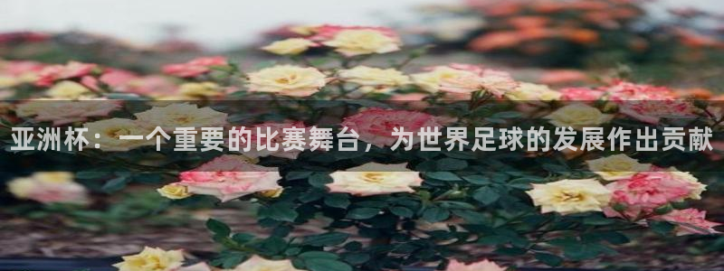 亚洲杯：一个重要的比赛舞台，为世界足球的发展作出贡献