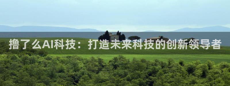 撸了么AI科技：打造未来科技的创新领导者