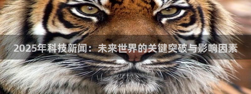 2025年科技新闻：未来世界的关键突破与影响因素