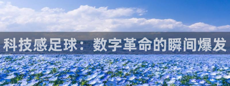 科技感足球：数字革命的瞬间爆发