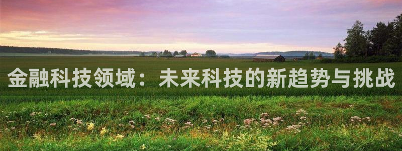 金融科技领域：未来科技的新趋势与挑战