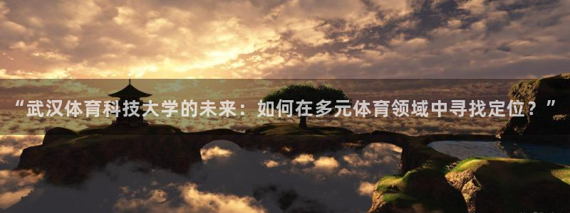 “武汉体育科技大学的未来：如何在多元体育领域中寻找定位？”