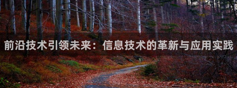 前沿技术引领未来：信息技术的革新与应用实践