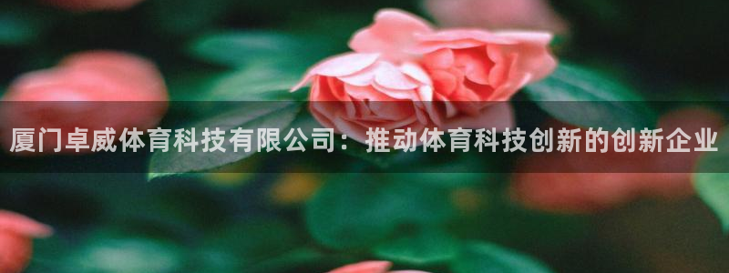 厦门卓威体育科技有限公司：推动体育科技创新的创新企业