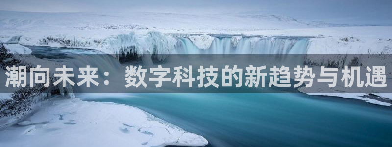 潮向未来：数字科技的新趋势与机遇