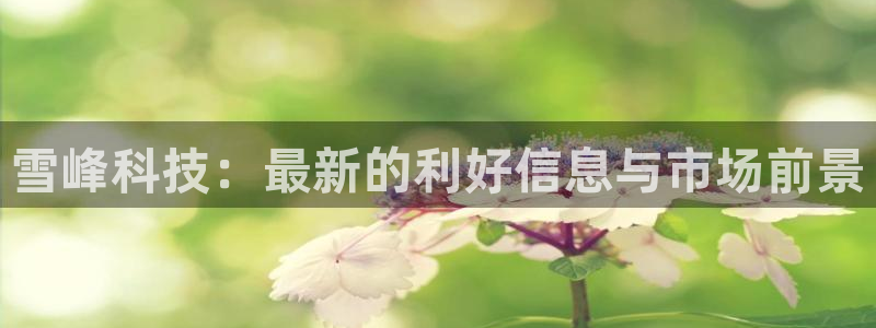 雪峰科技：最新的利好信息与市场前景