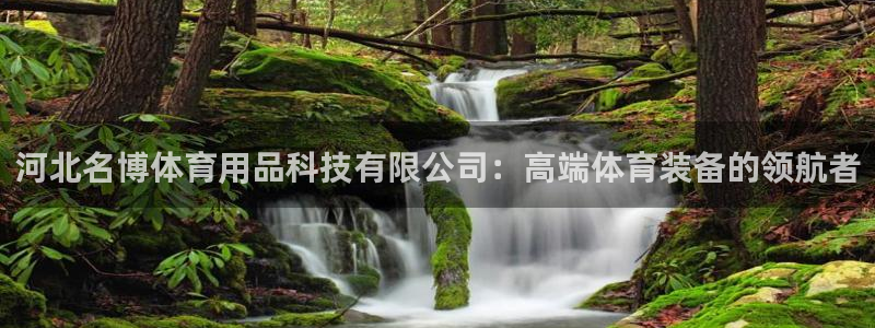 河北名博体育用品科技有限公司：高端体育装备的领航者