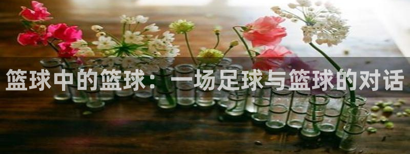 篮球中的篮球：一场足球与篮球的对话