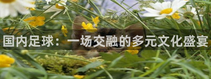国内足球：一场交融的多元文化盛宴