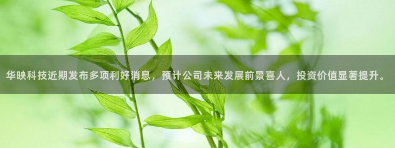 华映科技近期发布多项利好消息，预计公司未来发展前景喜人，投资价值显著提升。