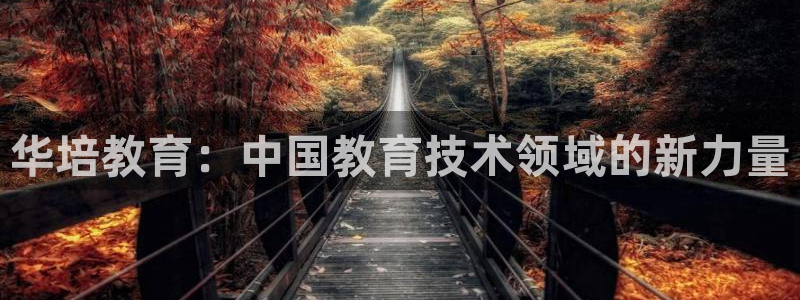 华培教育：中国教育技术领域的新力量