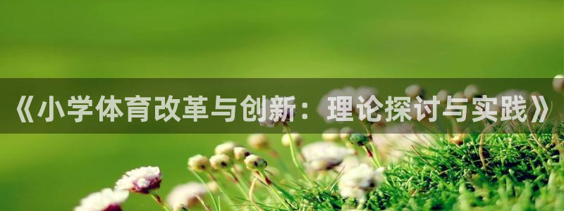 《小学体育改革与创新：理论探讨与实践》