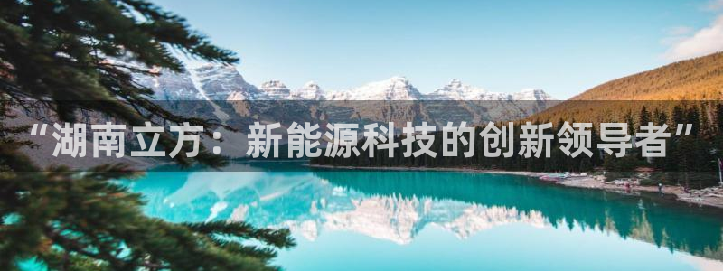 “湖南立方：新能源科技的创新领导者”