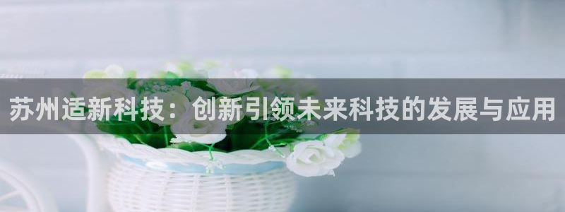 苏州适新科技：创新引领未来科技的发展与应用