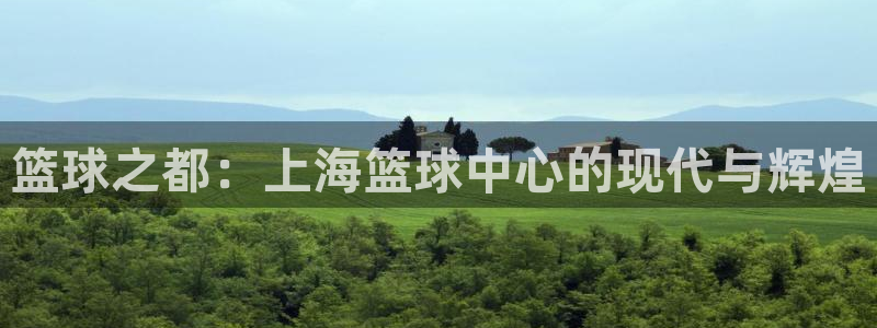 篮球之都：上海篮球中心的现代与辉煌