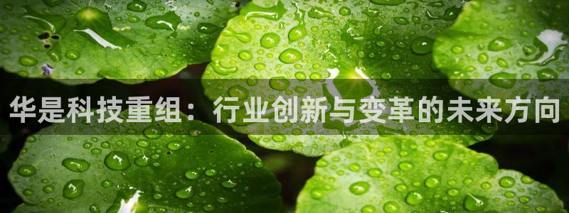 华是科技重组：行业创新与变革的未来方向
