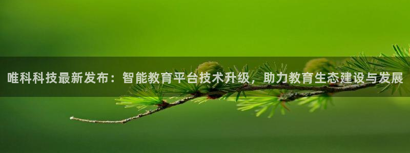 唯科科技最新发布：智能教育平台技术升级，助力教育生态建设与发展