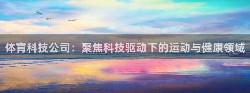 体育科技公司：聚焦科技驱动下的运动与健康领域