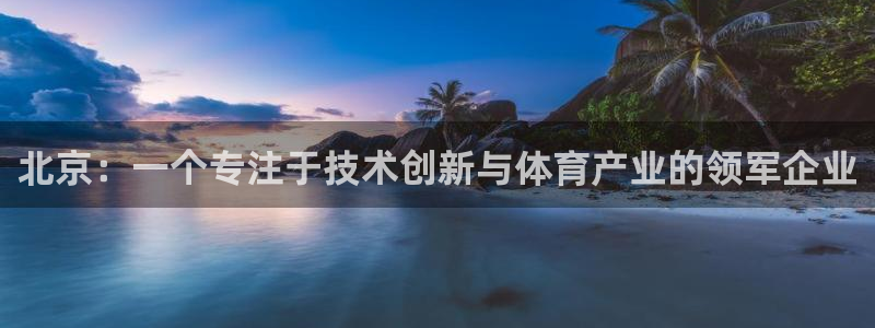 北京：一个专注于技术创新与体育产业的领军企业